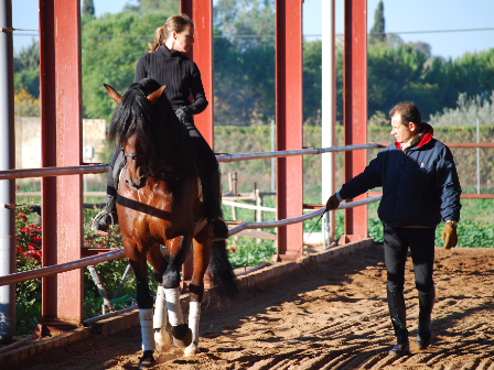 Classical Dressage Training